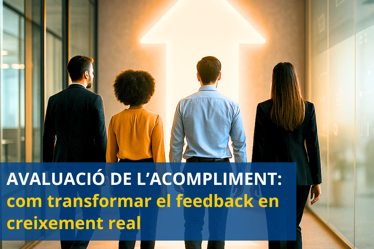 consultor formació a mida