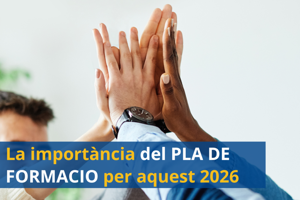 conultor formaicó a mida pla de formació