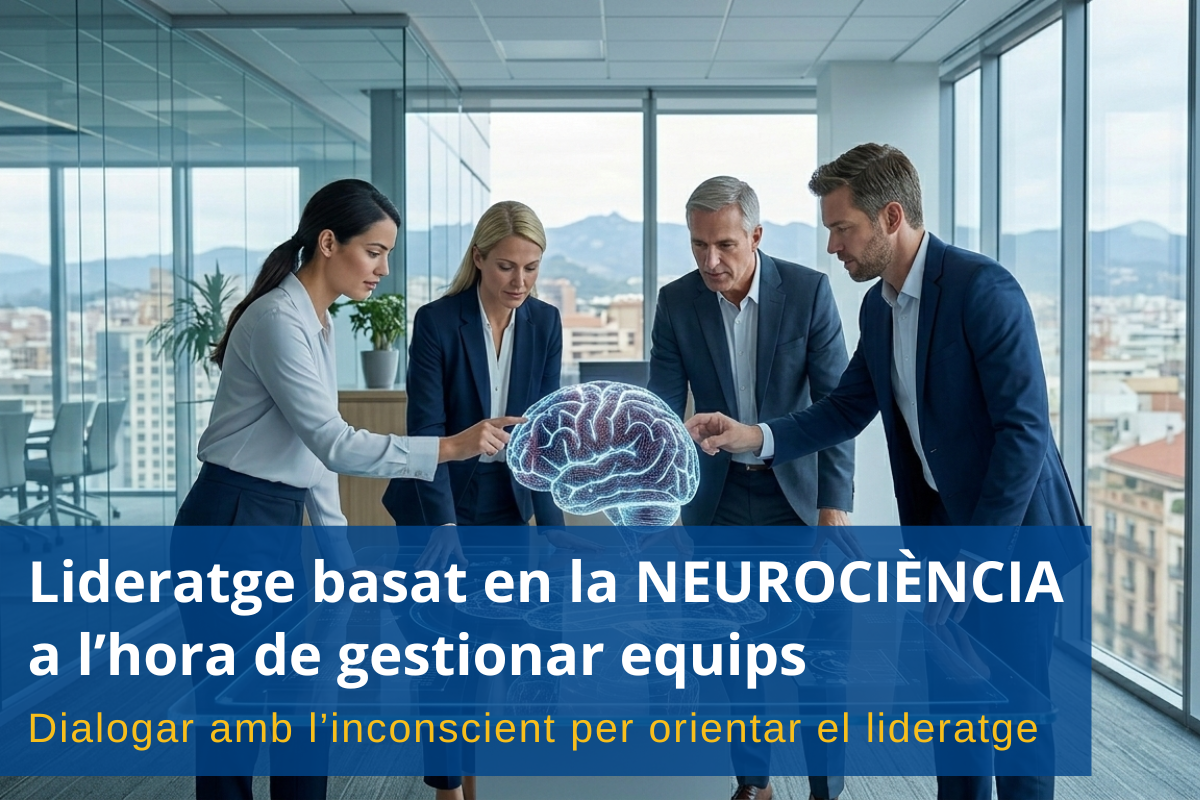 COnsultor formació a mida